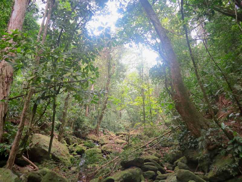 Wanderweg in Kourou